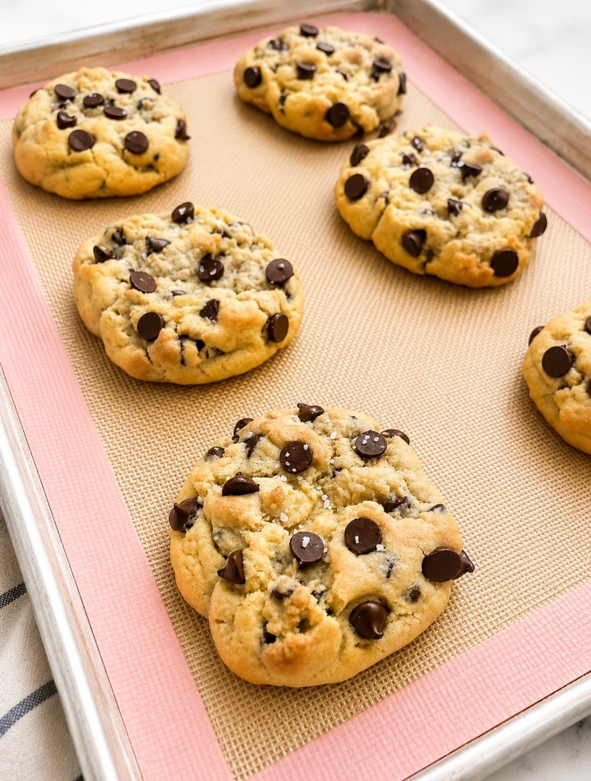 Chocolate chip cookie