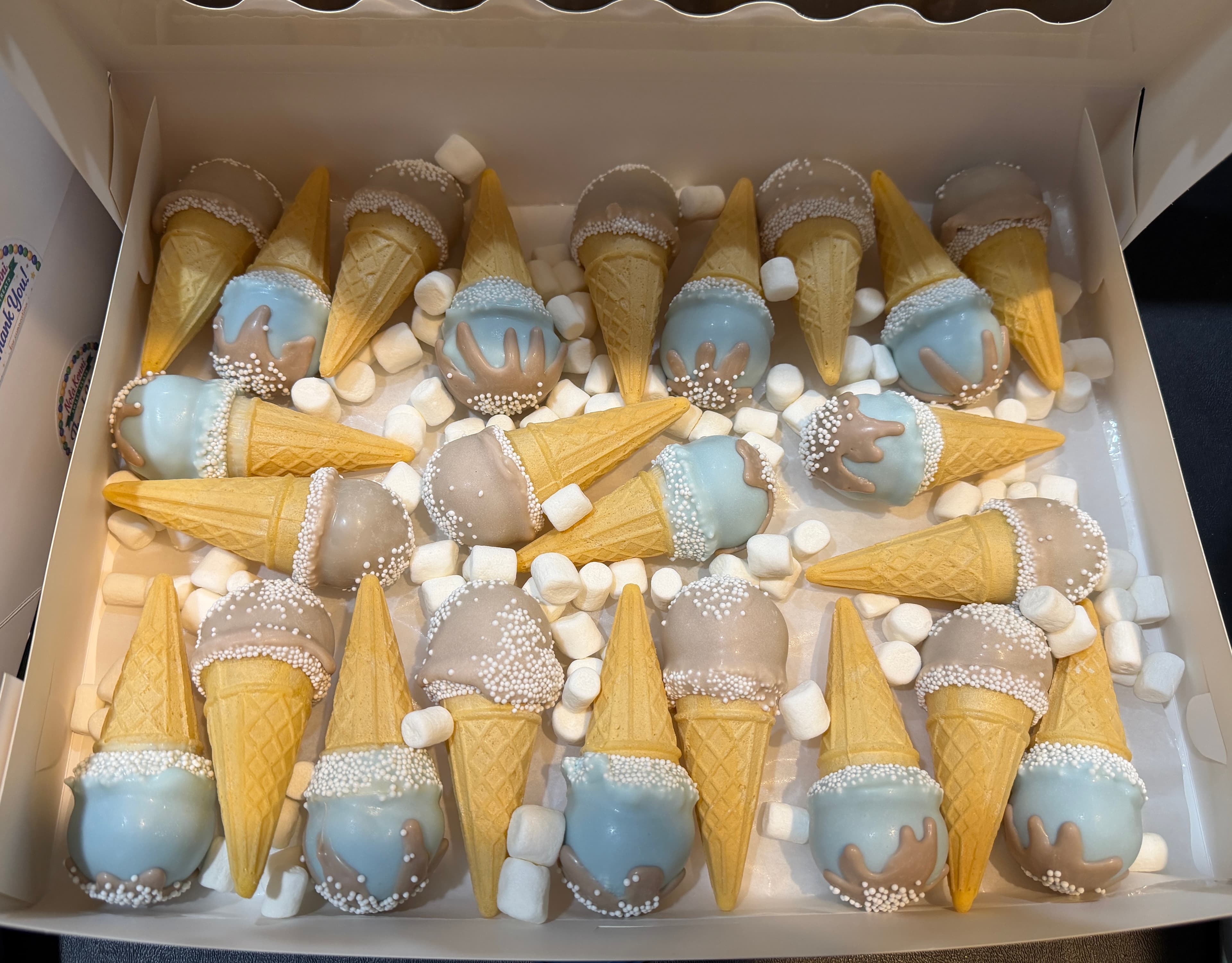 CakePop Cone