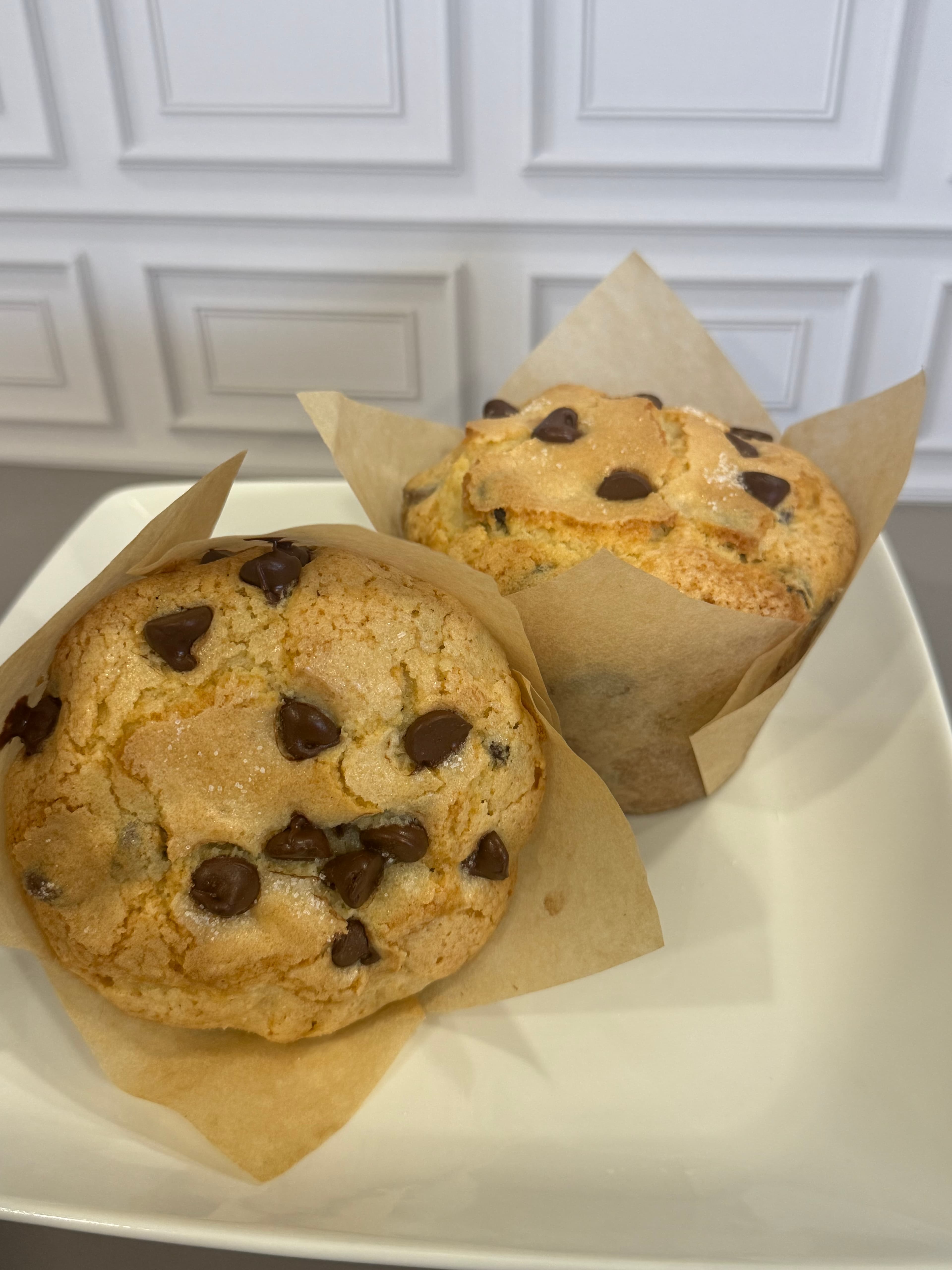 Chocolate Chip Muffin
